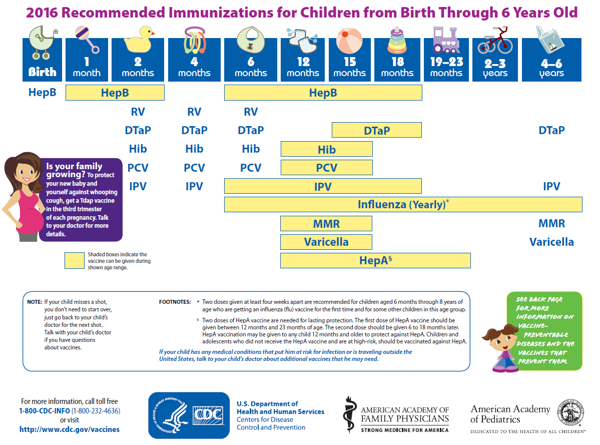 Cdc Adult Immunization 21